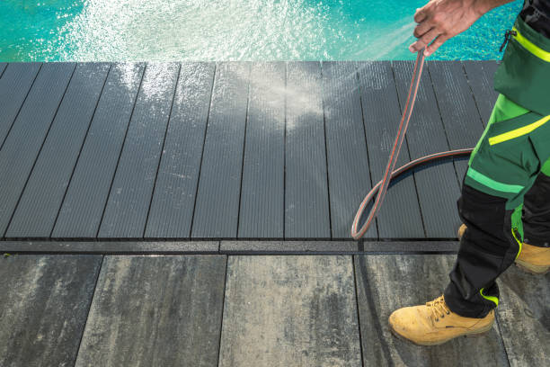 Best Residential Pressure Washing Services  in Newport, MN