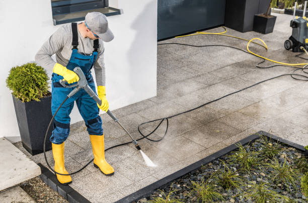 Best Roof Pressure Washing  in Newport, MN