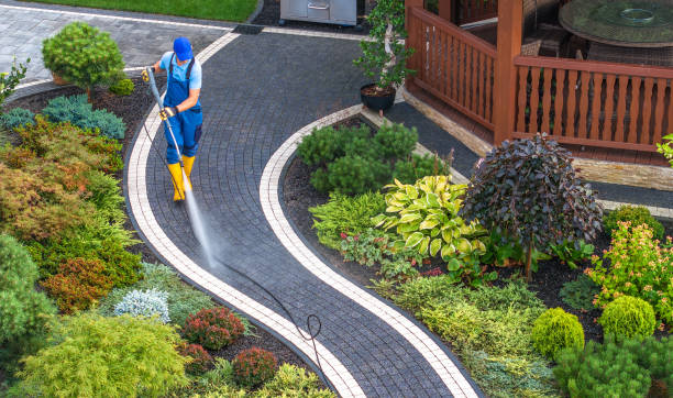 Best Pressure Washing Driveway  in Newport, MN